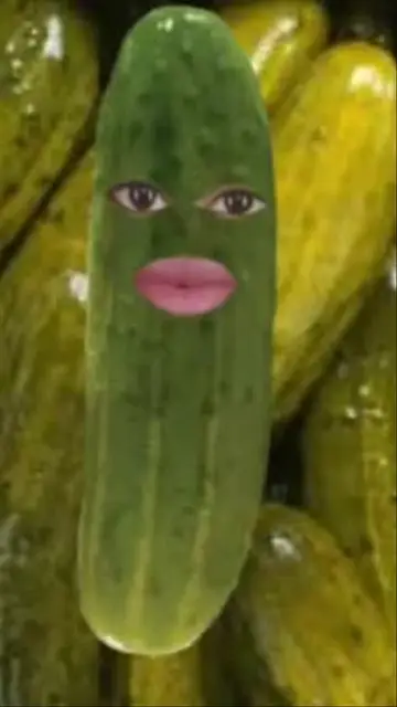 Pickle Lover