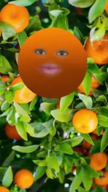 My Name is Orange