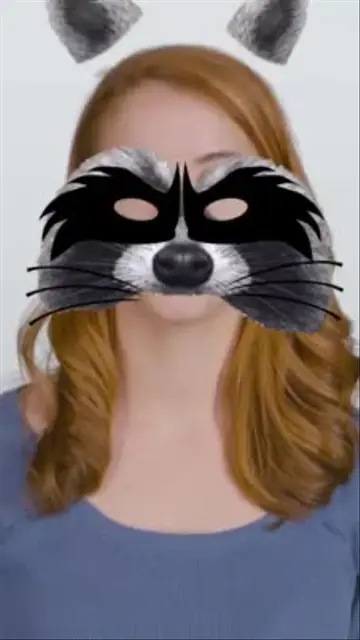 Animal Mask