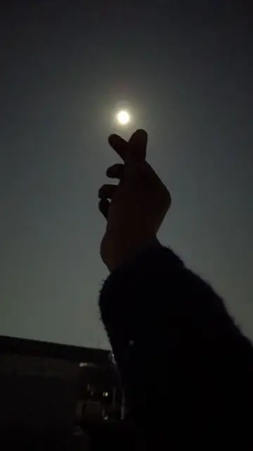 moon lover