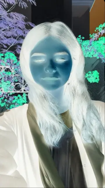 color inverted Filter by SANAL 👾 | Snapchat Lenses
