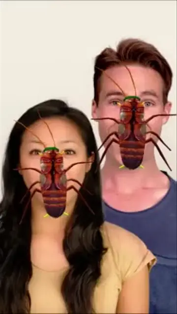 Cockroach with Fac