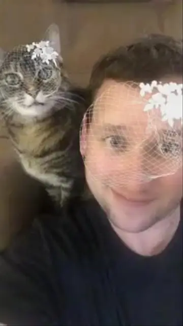 Pet Veil