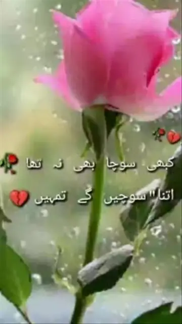 Urdu poetry