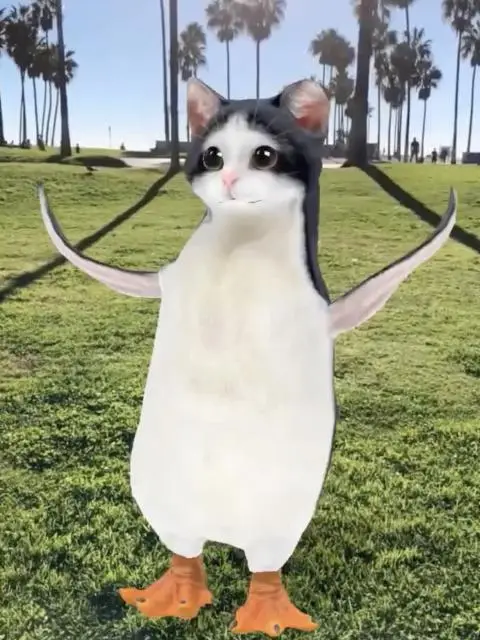 A Cat Called Penguin token logo