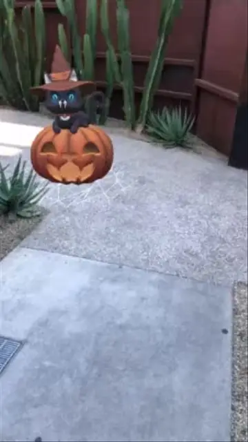 The Halloween cat