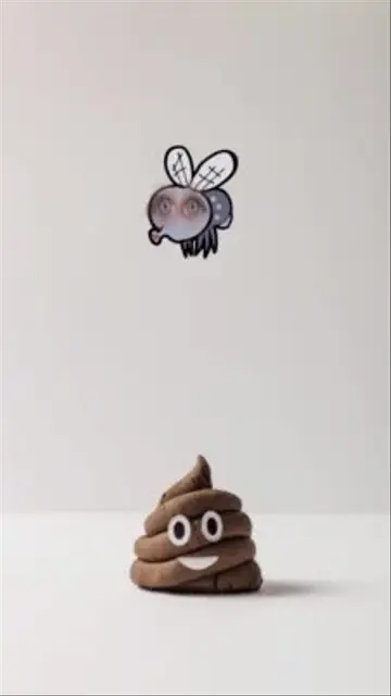 Fly and Poop