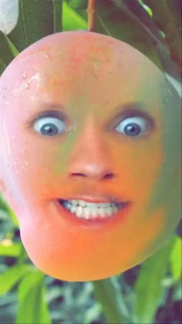 Mango Face Filter by dombeef | Snapchat Lenses