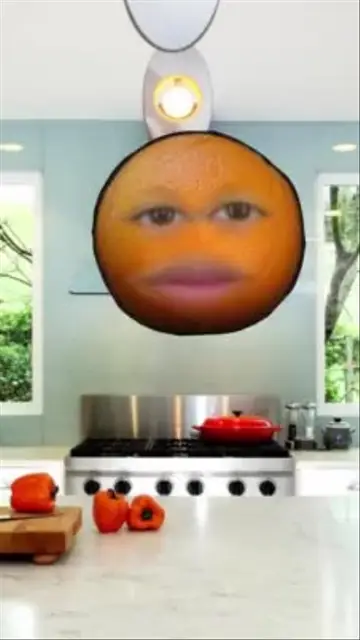 Snapchatが作成したAnnoying Orangeフィルター | Snapchatレンズ