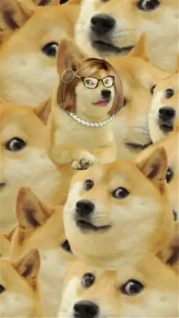 Doge Girl