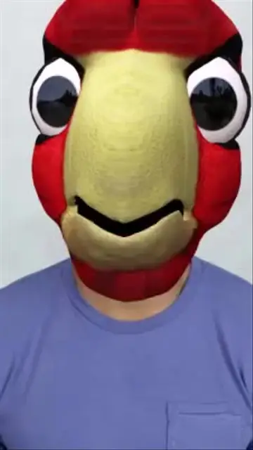 Harry The Hawk It