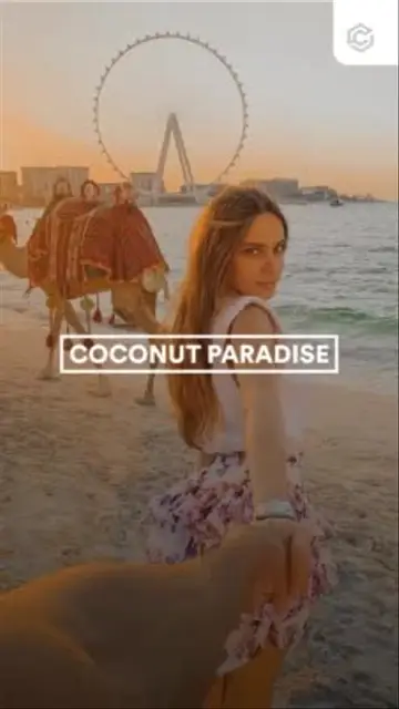 coconut paradise