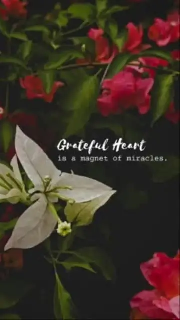 Grateful Heart