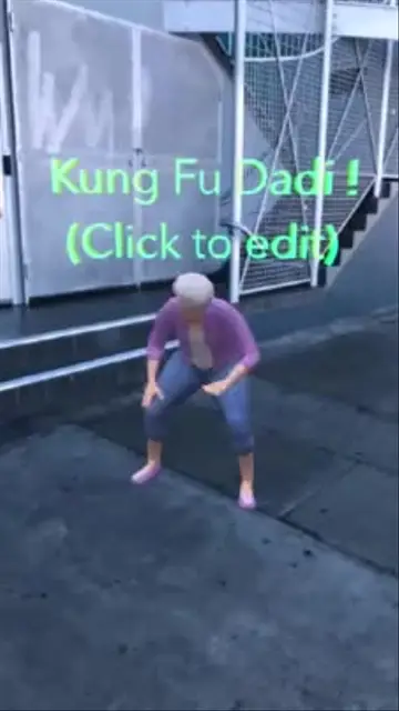 Kung Fu Dadi